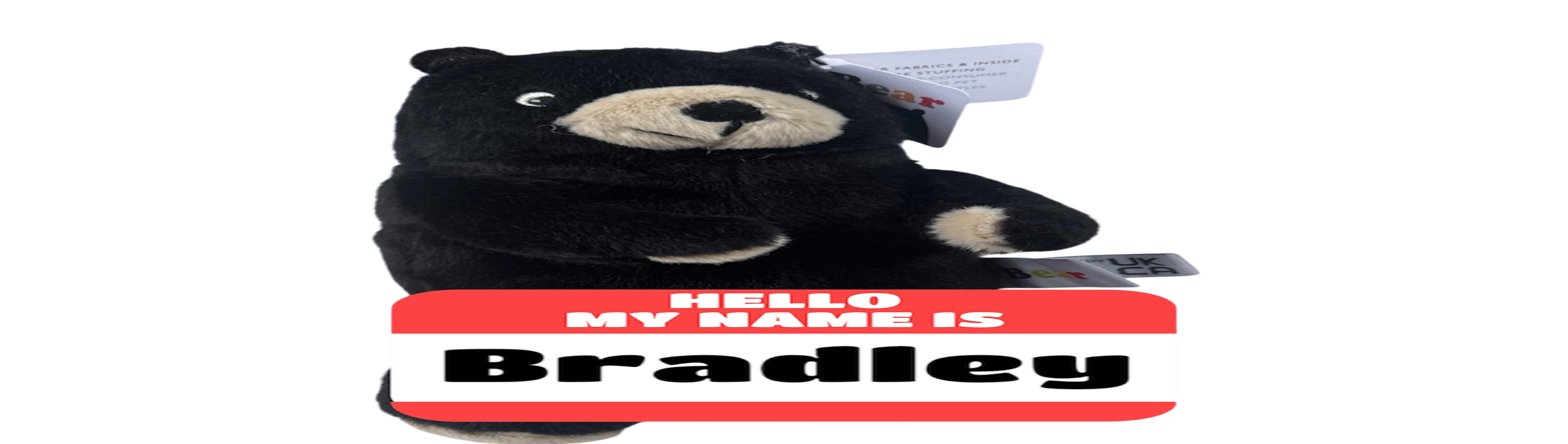 Traders Bear Hunt